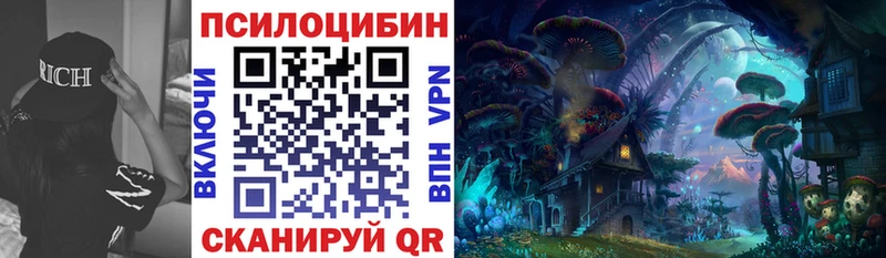 Псилоцибиновые грибы Psilocybine cubensis  Нюрба 